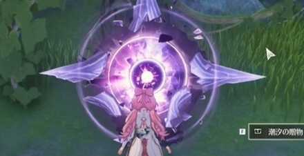 潮汐の贈物レア度紫