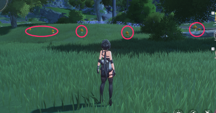 花蕈（ハナシイタケ）