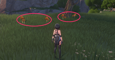 花蕈（ハナシイタケ）