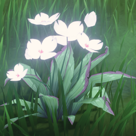 スミレの見た目