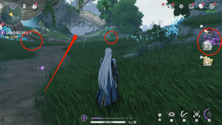 コウソの入手場所