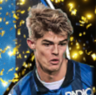 HPシャルルドケトラール(05/30)画像