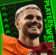 TPマウロ・イカルディ(05/30)画像