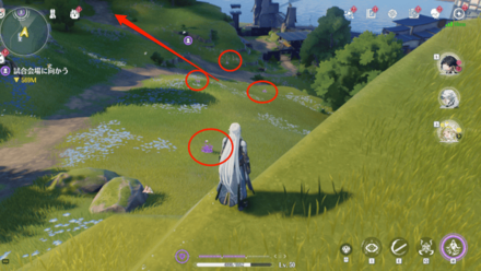 コウソの入手場所2