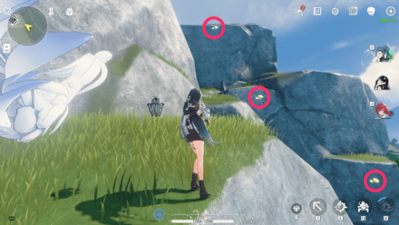 ハラタケの場所