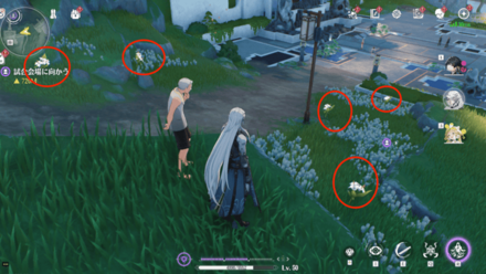 レモングラスの入手場所