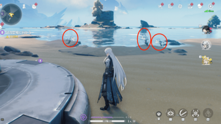 イグサの入手場所