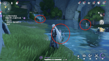 月藻の入手場所