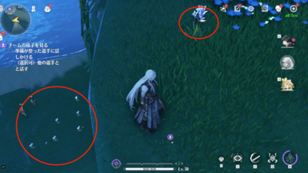 セイフンソウの入手場所