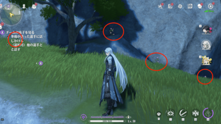 崖仙子の入手場所