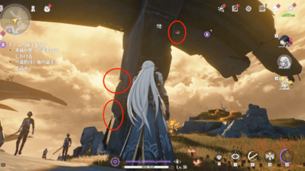 崖仙子の入手場所