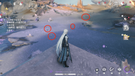 ギンリョウソウモドキの入手場所