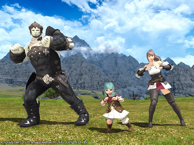 サイドステップの画像