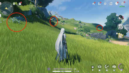 スイカズラの入手場所