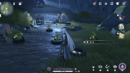 金鈴子の入手場所