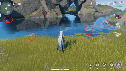 ハスの実の入手場所