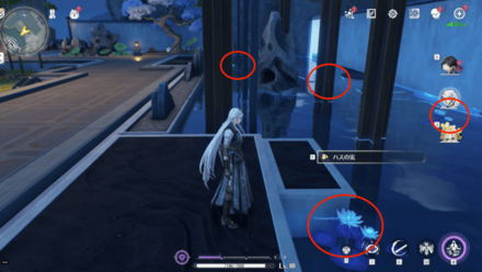 ハスの実の入手場所