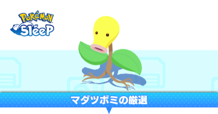 マダツボミ厳選