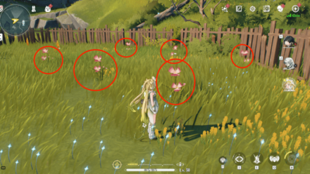 レンゲの入手場所