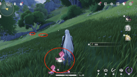 レンゲの入手場所