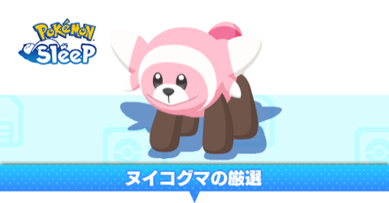 ヌイコグマ厳選