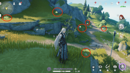 ミントの入手場所