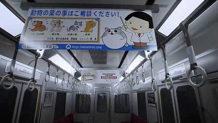 ねこあざらし薬店