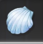 アコヤカイ画像