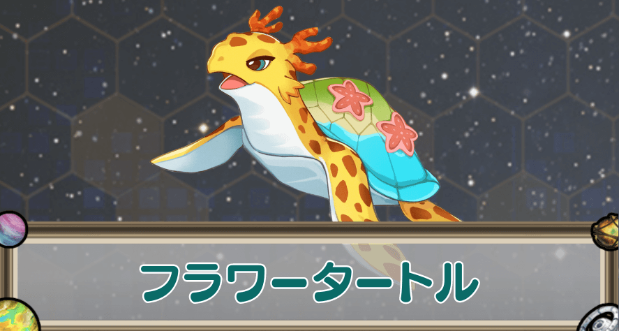 フラワータートルのアイキャッチ