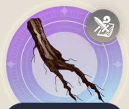 豊かな根っこの画像