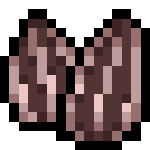 ひまわりのタネ