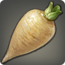 パースニップの画像