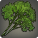 ハイランドパセリの画像