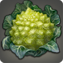 ブロコフラワーの画像