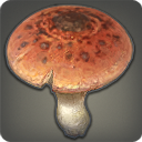 シュリークシュルームの画像