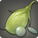 エブラーナレンティルの画像