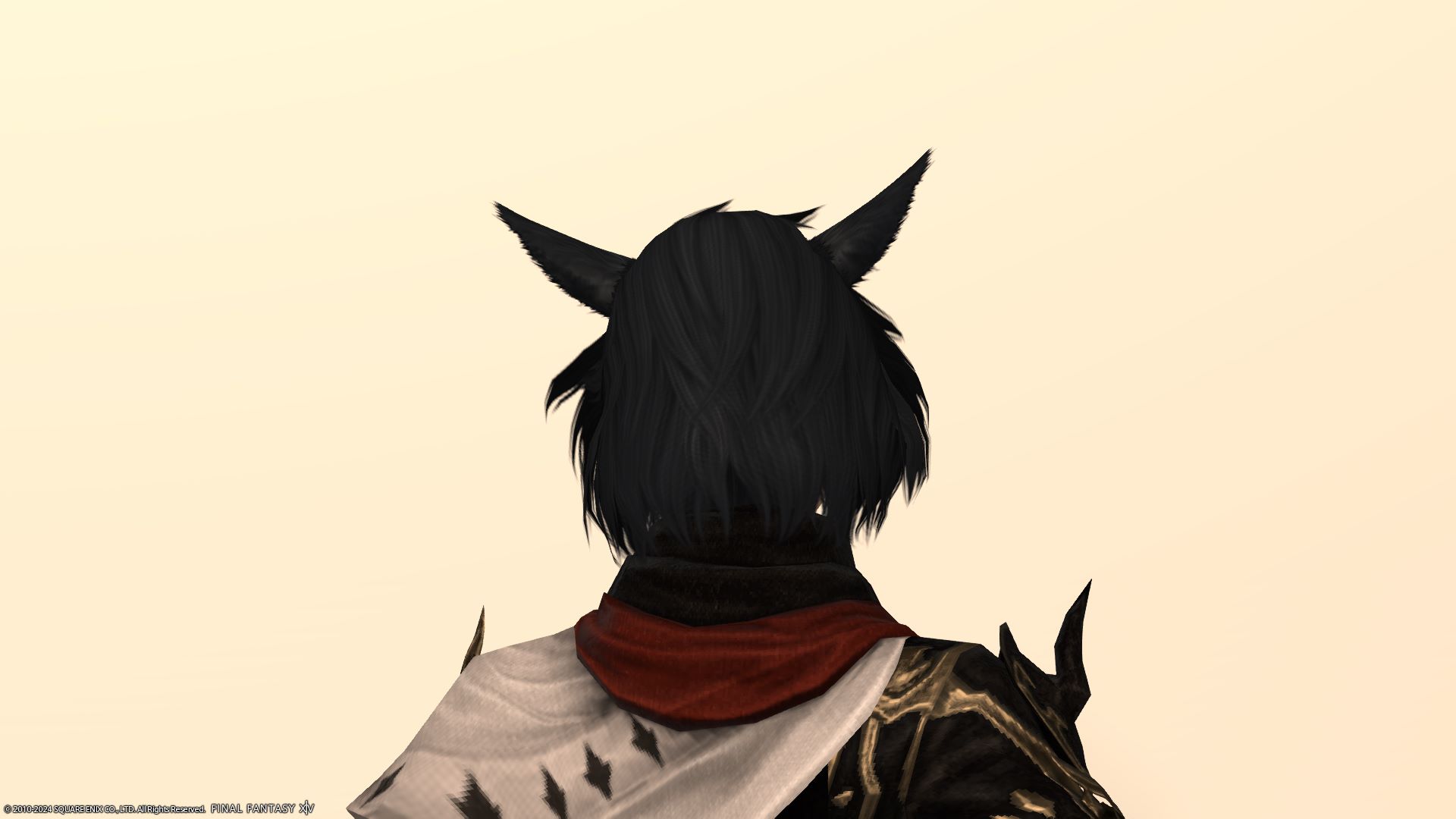 ラフミディアム後ろ