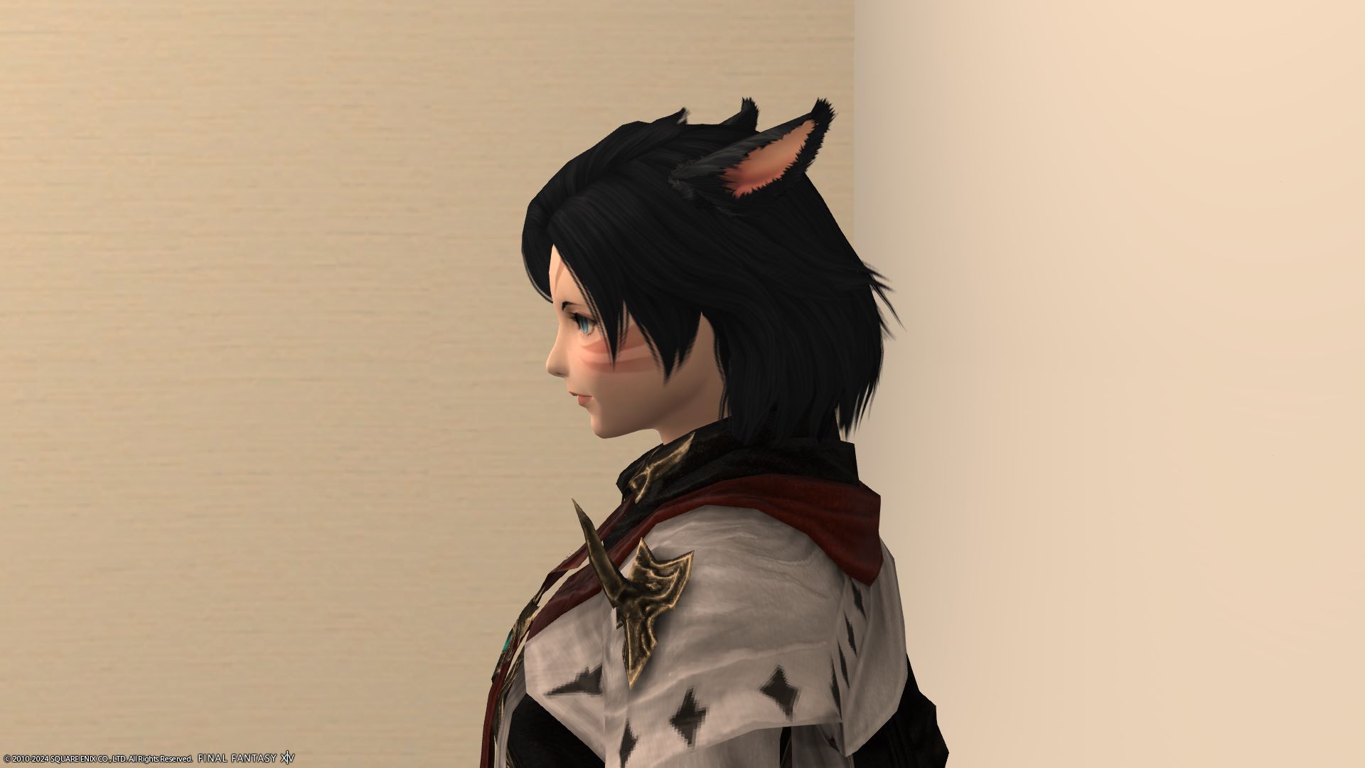 ラフミディアム左