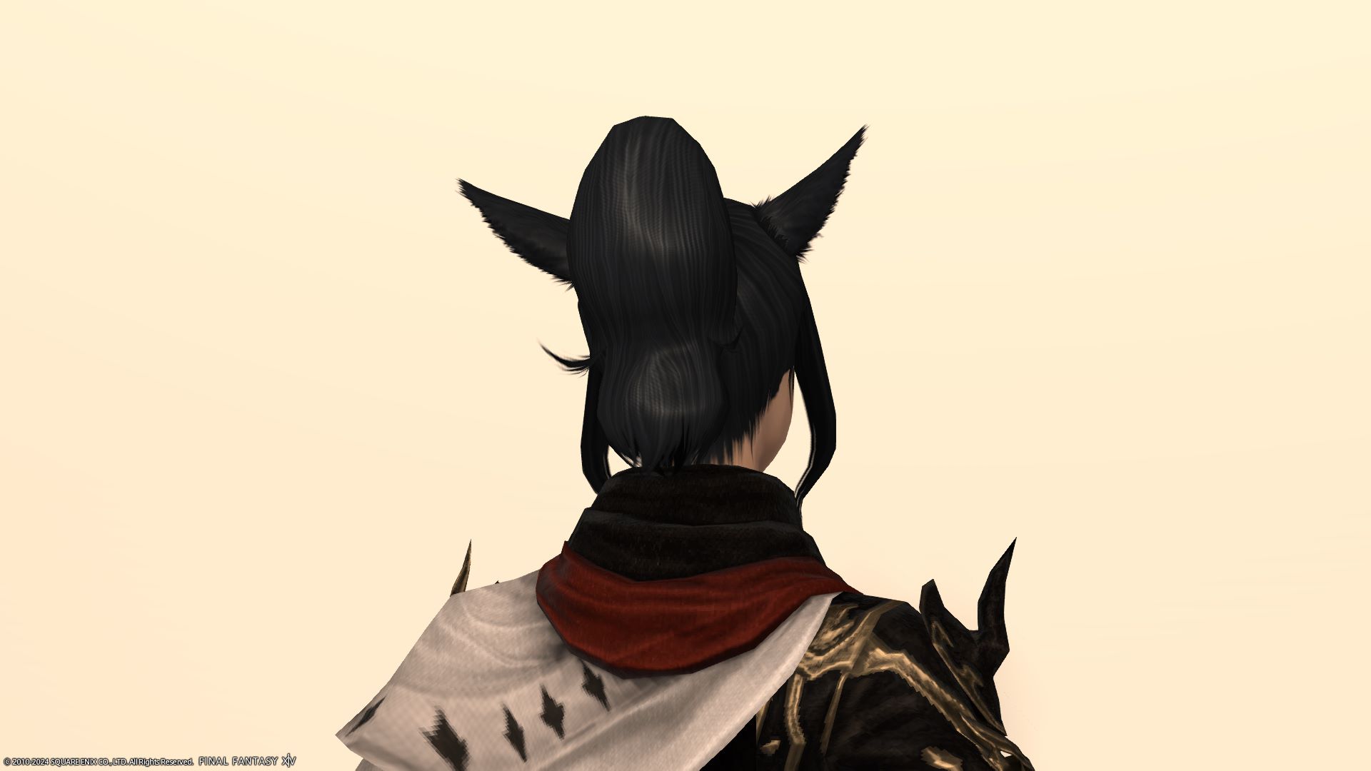 ハイポニーテール後ろ