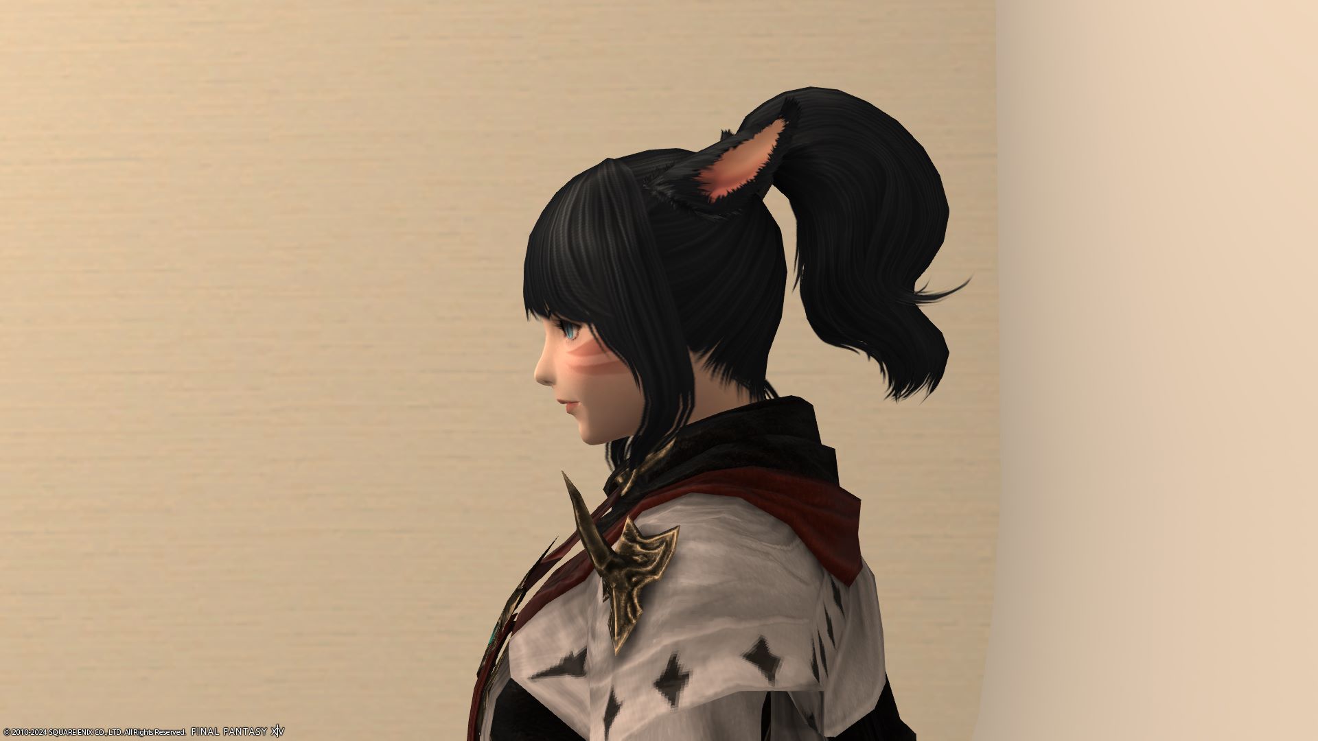 ハイポニーテール左