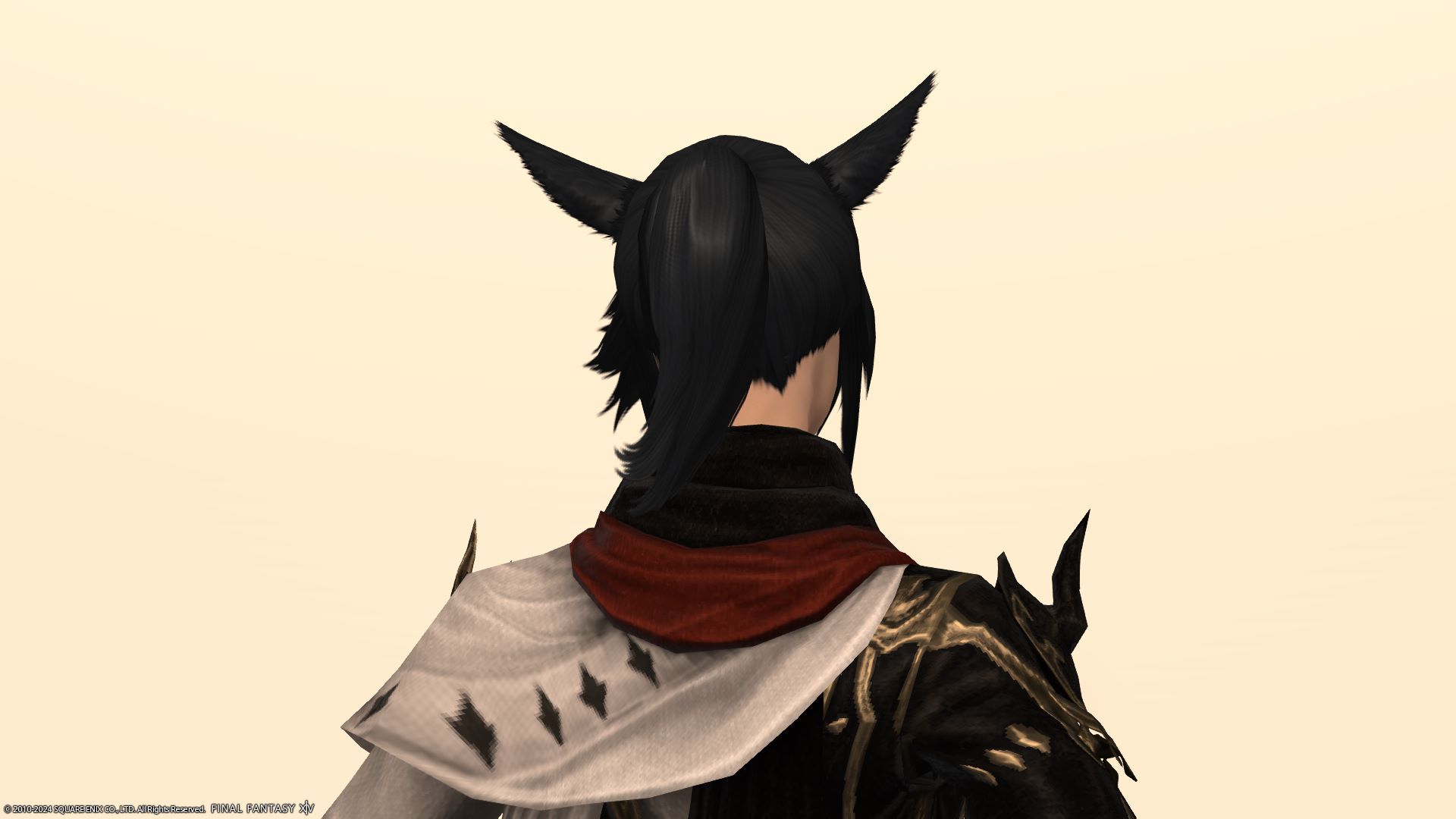 ラフポニーテール後ろ