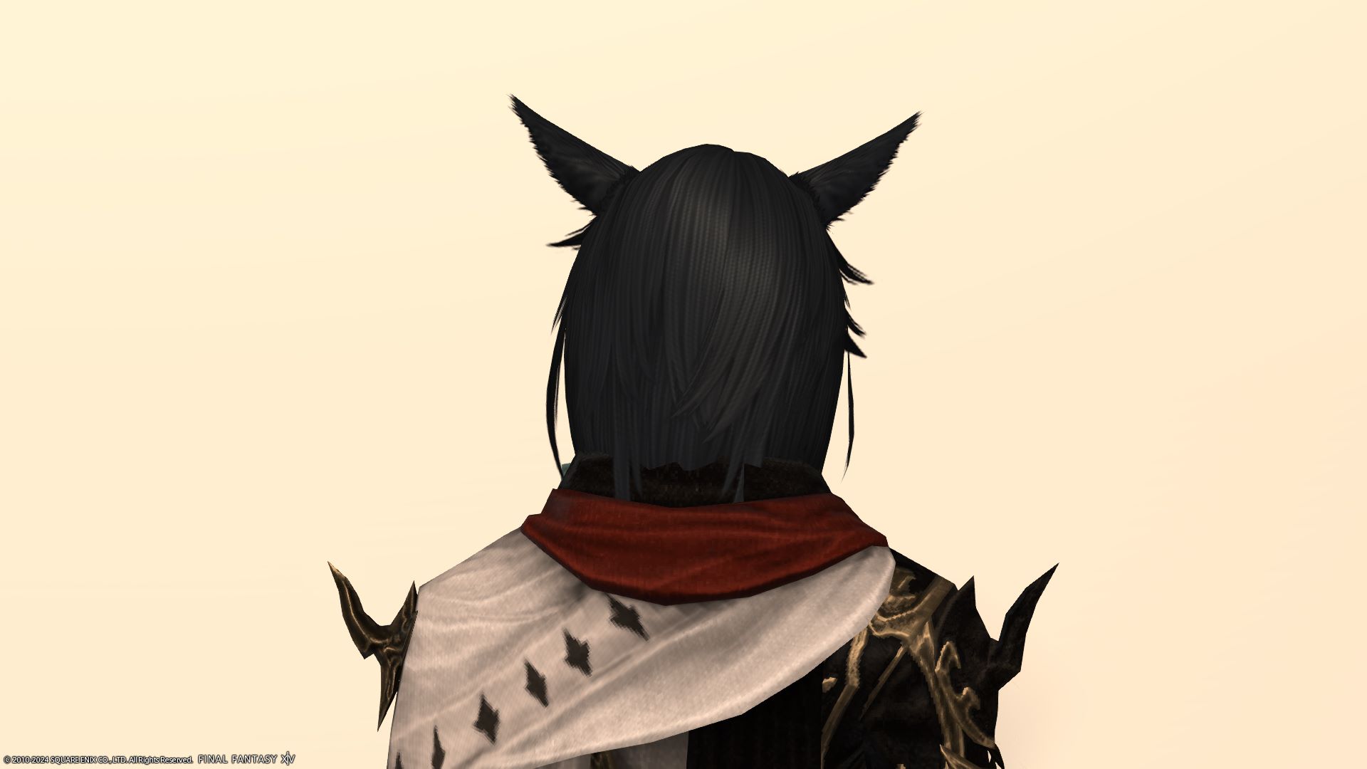 ドーンブレイド後ろ