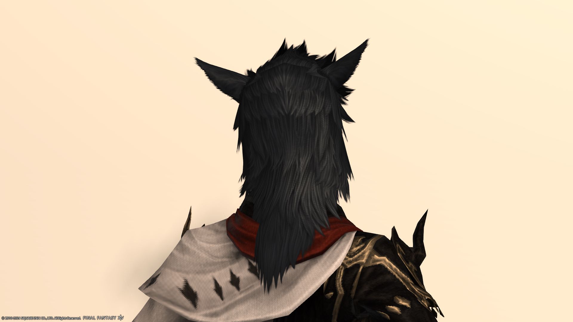 ヴァルタン後ろ