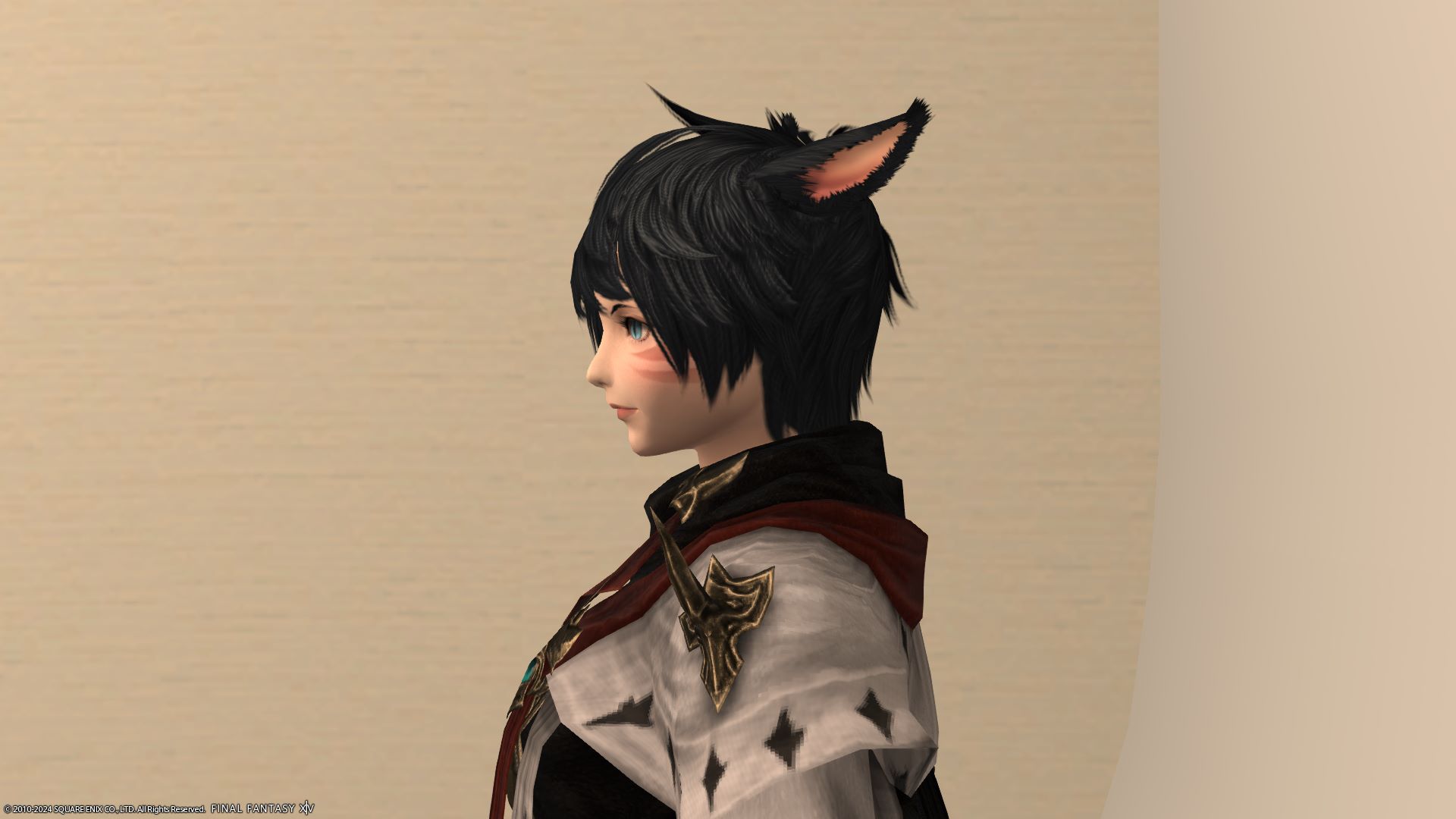 セイントウィング左