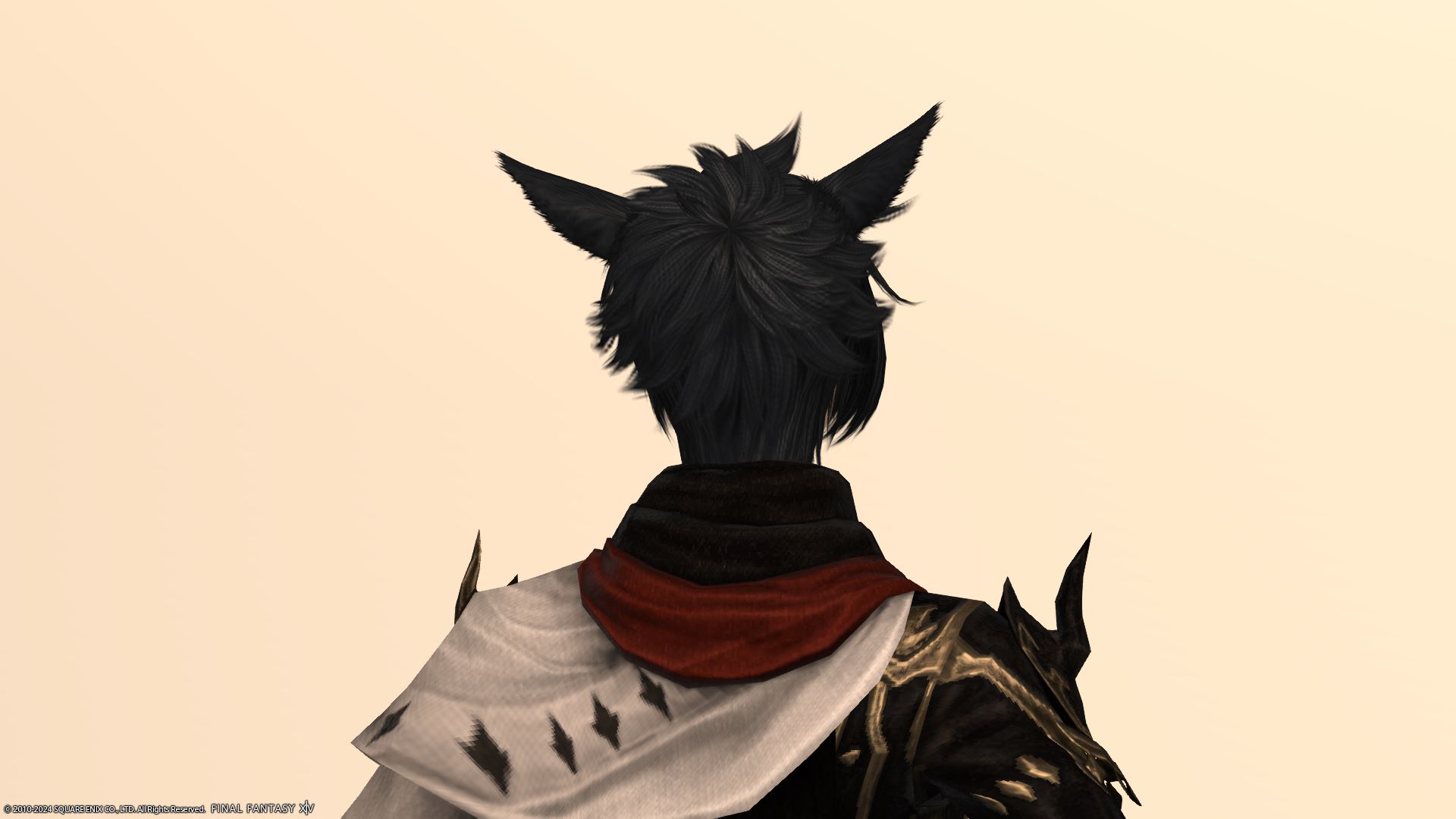 セイントウィング後ろ