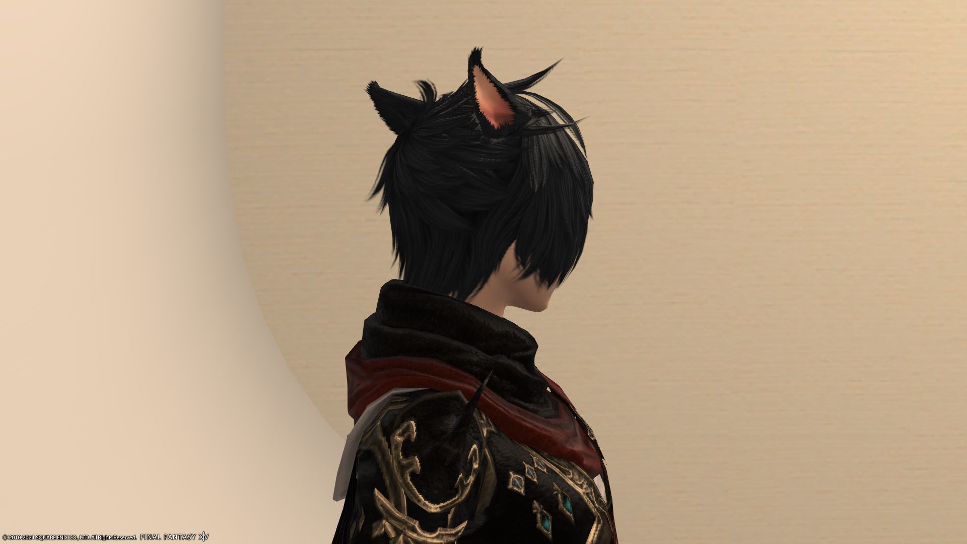 セイントウィング右