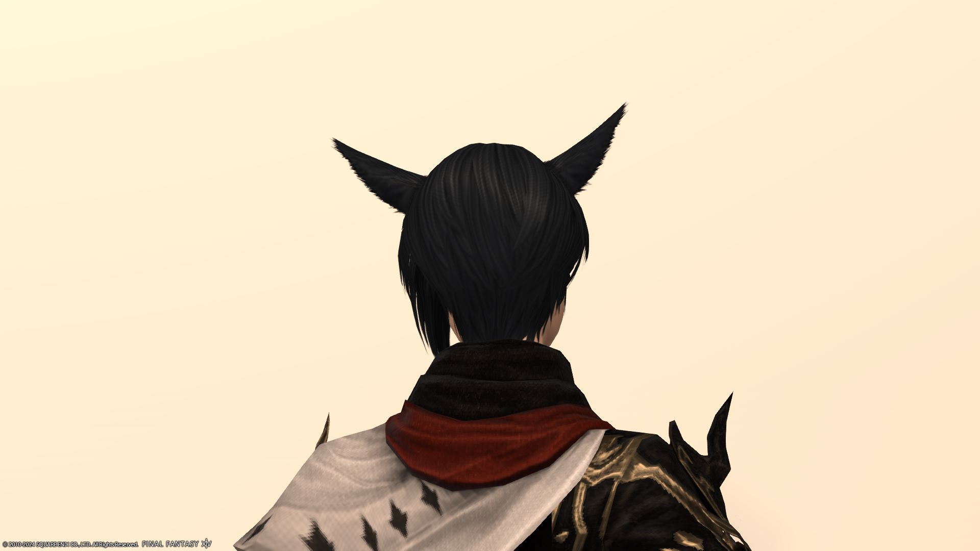 アシンメトリー後ろ