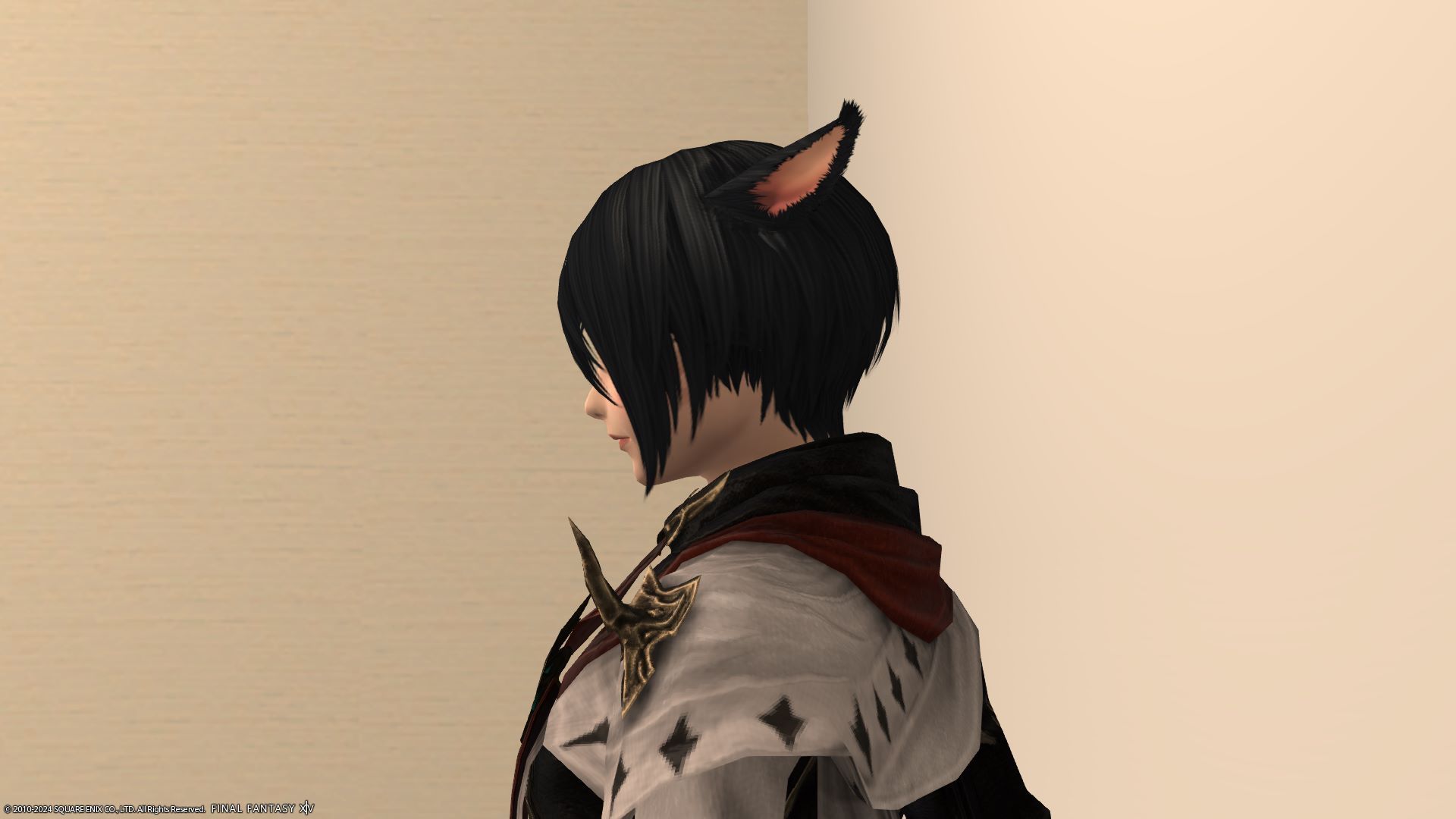 アシンメトリー左