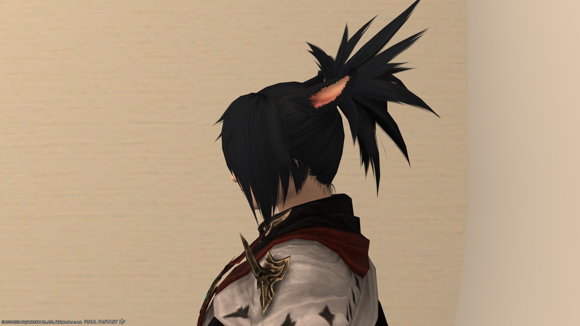 ゴールドソーサーフェスティバル左