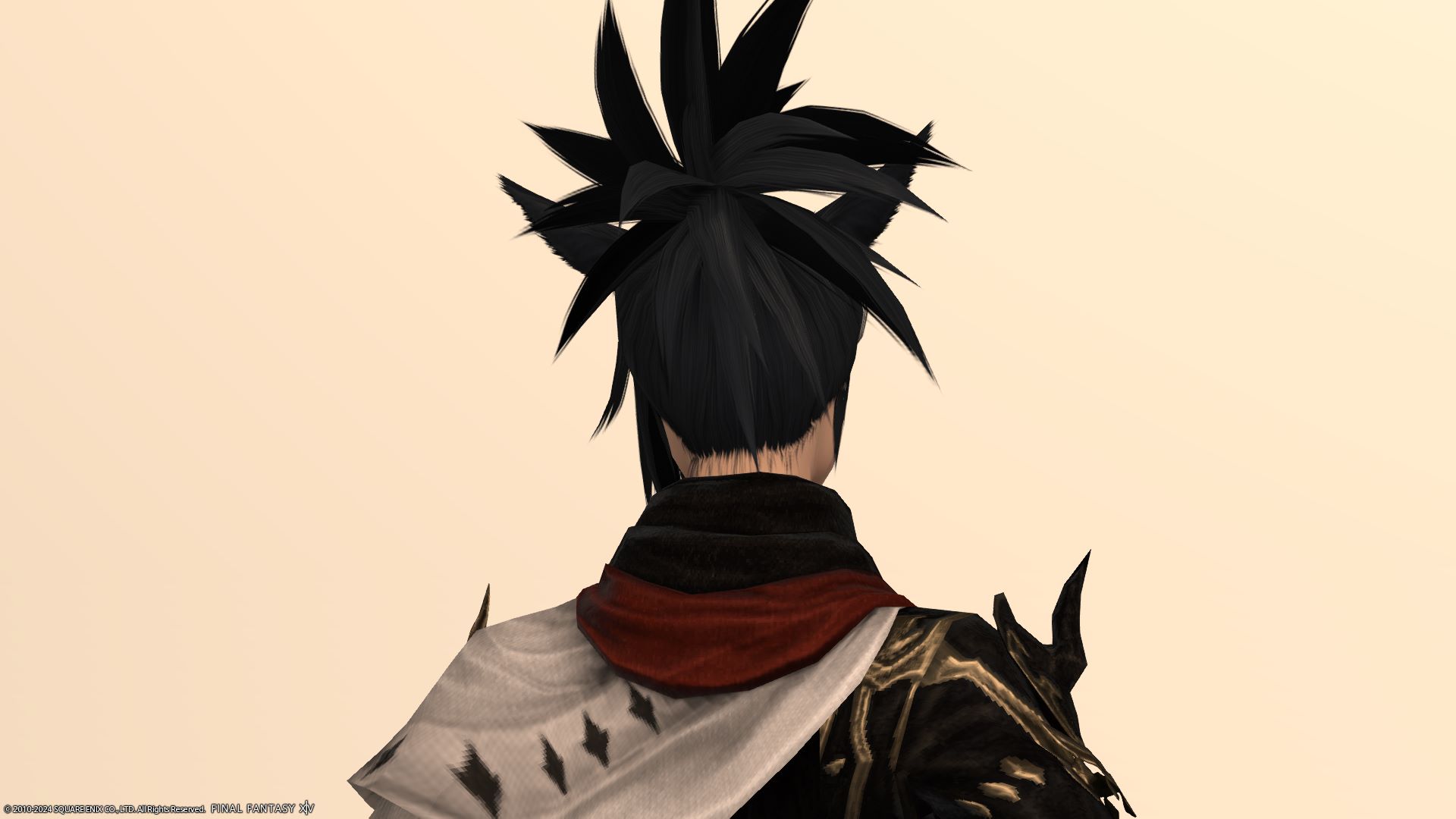 ゴールドソーサーフェスティバル後ろ